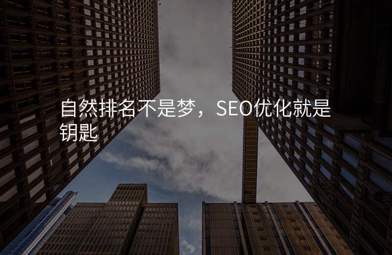 自然排名不是梦,SEO优化就是钥匙