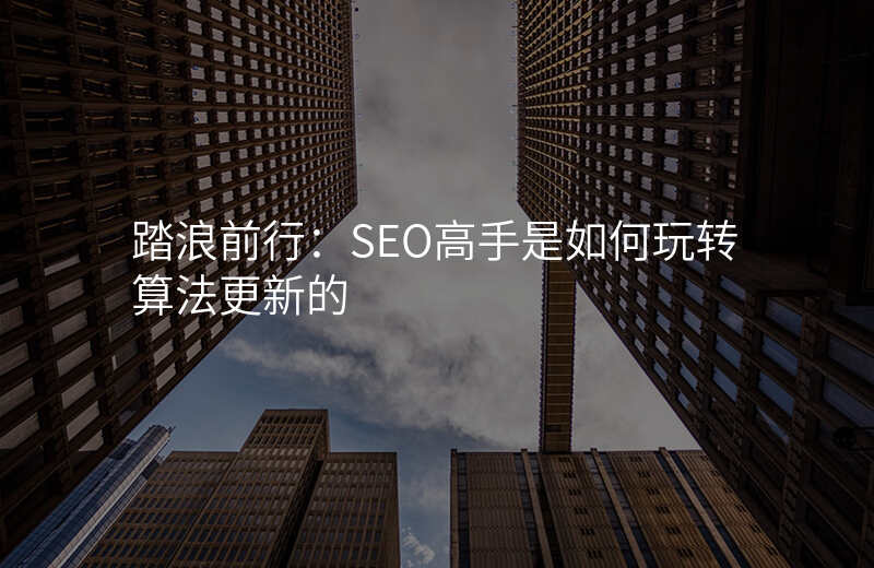 踏浪前行:SEO高手是如何玩转算法更新的