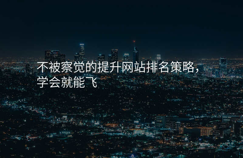 不被察觉的提升网站排名策略,学会就能飞