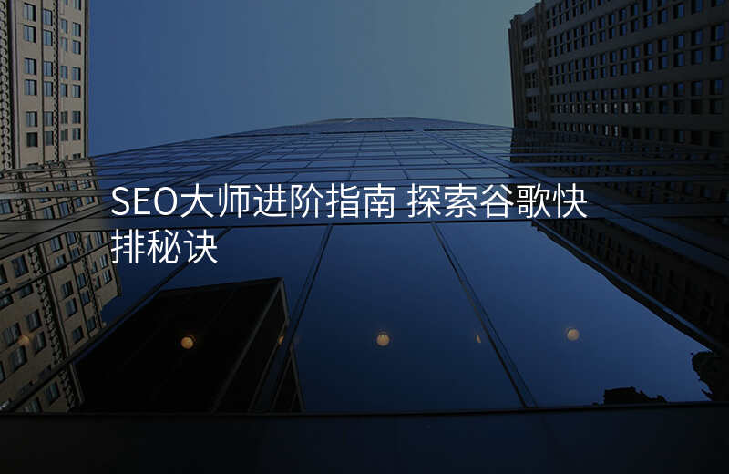 SEO大师进阶指南 探索谷歌快排秘诀