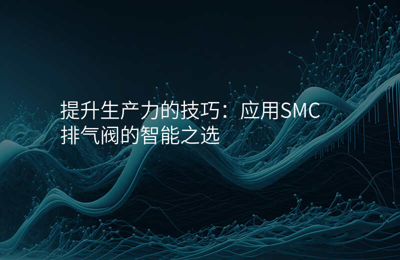提升生产力的技巧:应用SMC排气阀的智能之选