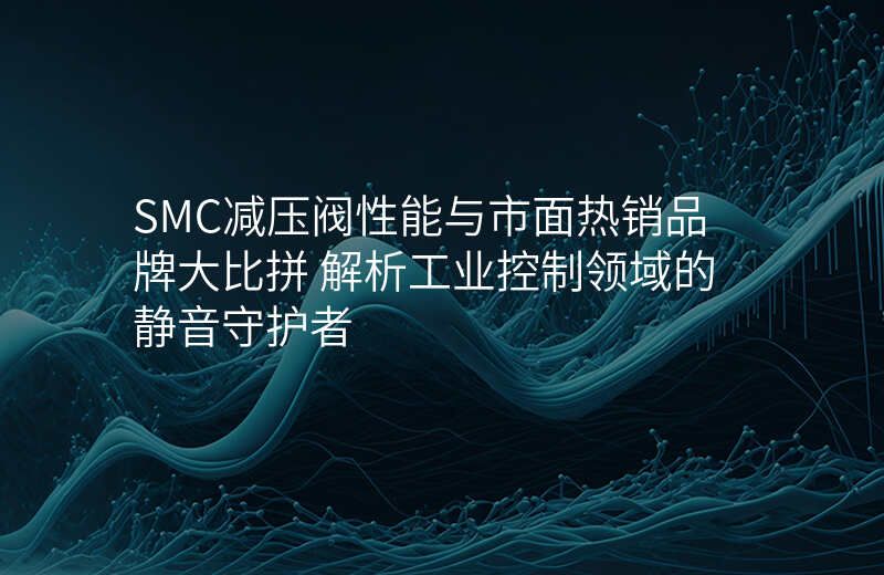 SMC减压阀性能与市面热销品牌大比拼 解析工业控制领域的静音守护者