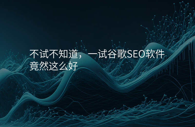 不试不知道,一试谷歌SEO软件竟然这么好