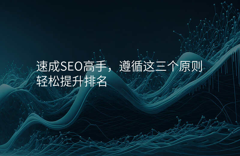 速成SEO高手,遵循这三个原则轻松提升排名