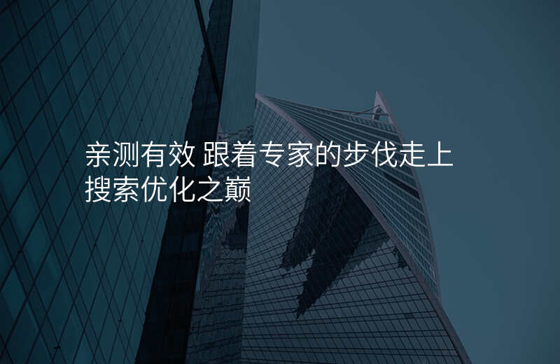 亲测有效 跟着专家的步伐走上搜索优化之巅