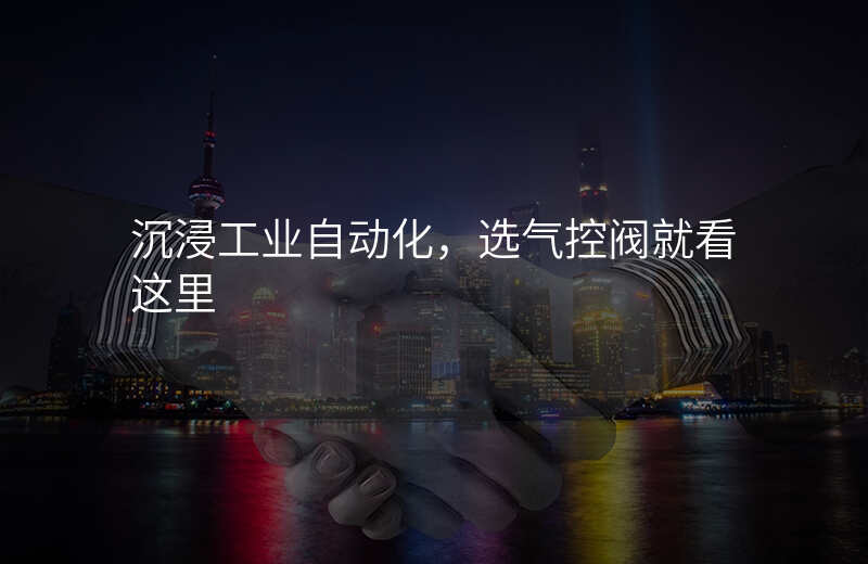 沉浸工业自动化,选气控阀就看这里