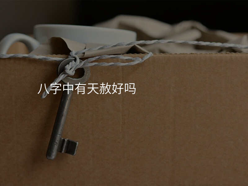 八字中有天赦好吗