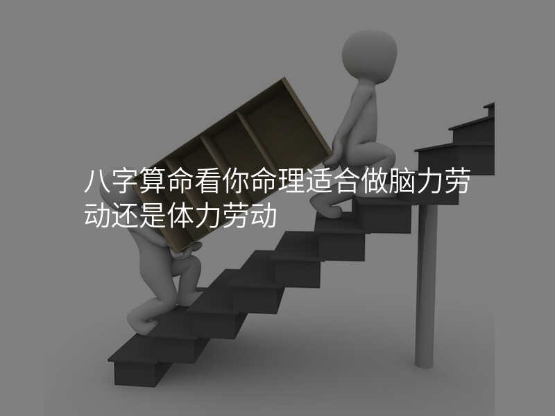 八字算命看你命理适合做脑力劳动还是体力劳动