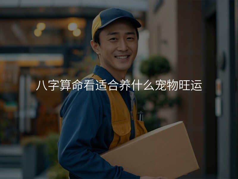 八字算命看适合养什么宠物旺运