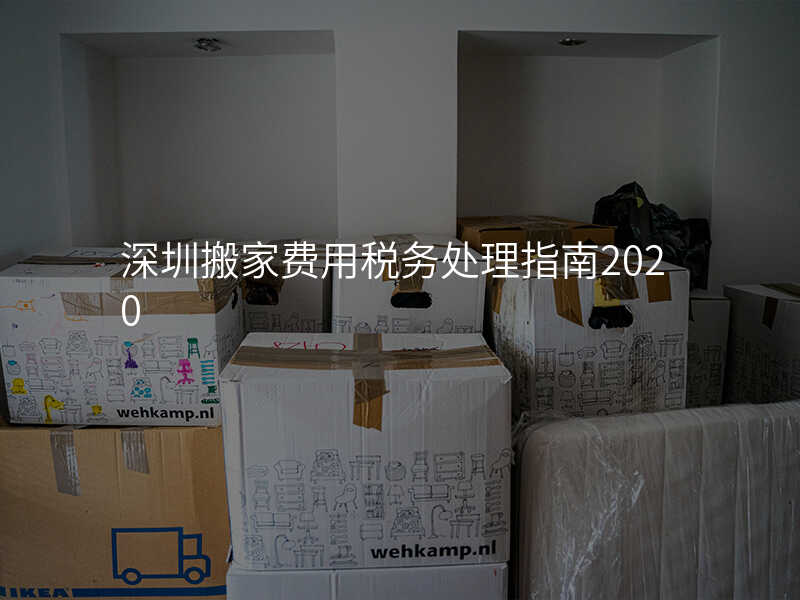 ÉîÛÚ°á¼Ò·ÑÓÃ˰Îñ´¦ÀíÖ¸ÄÏ2020