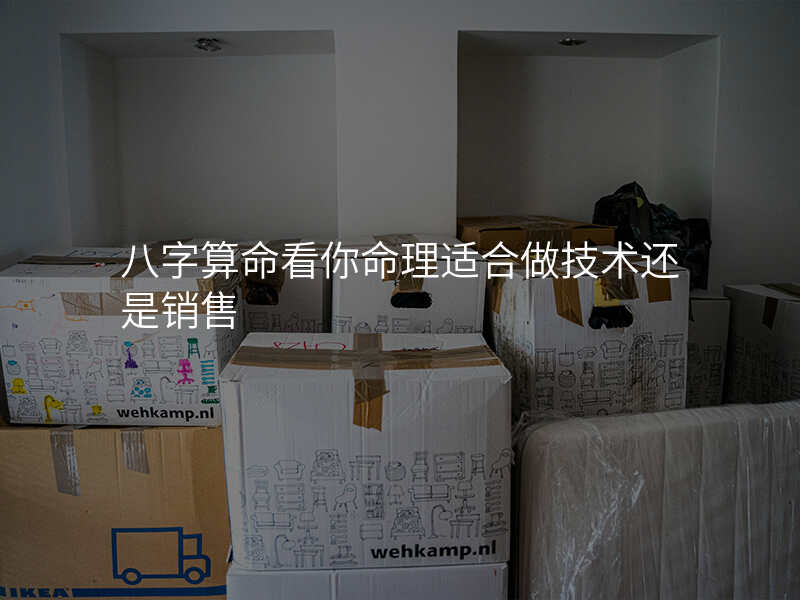 八字算命看你命理适合做技术还是销售