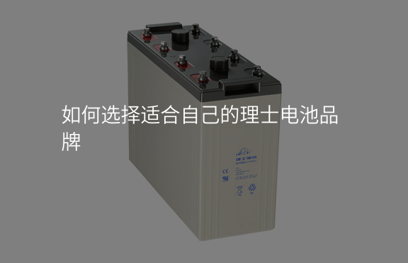如何選擇適合自己的理士電池品牌