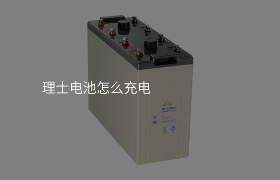 理士電池怎么充電