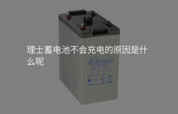 理士蓄電池不會充電的原因是什么呢