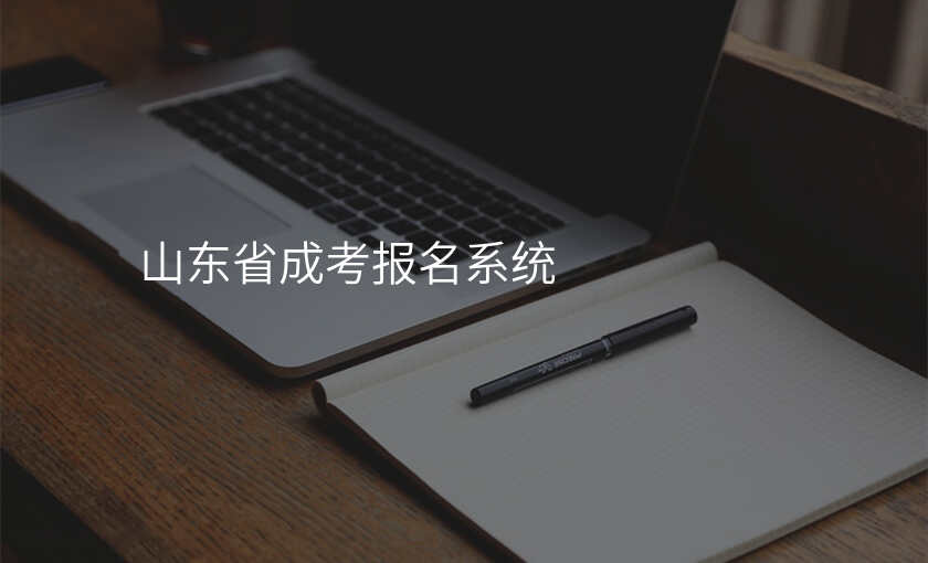山东省成考报名系统