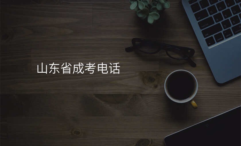 山东省成考电话