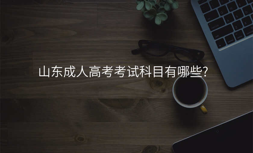 山东成人高考考试科目有哪些?