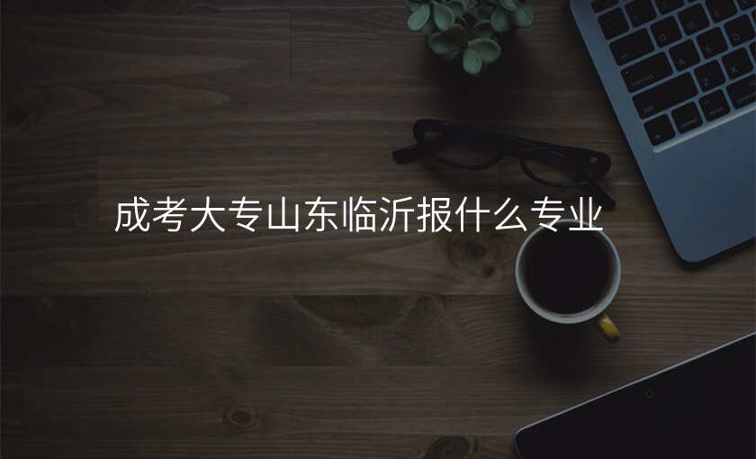 成考大专山东临沂报什么专业
