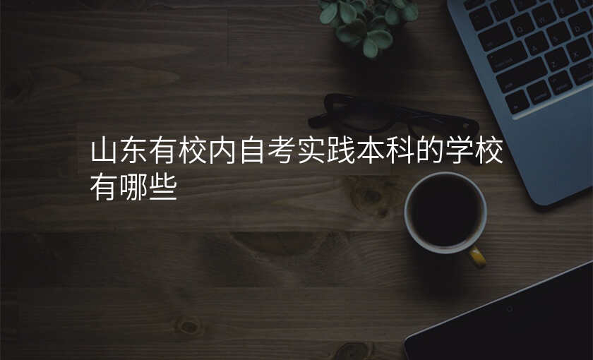 山东有校内自考实践本科的学校有哪些