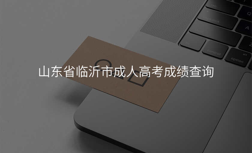 山东省临沂市成人高考成绩查询