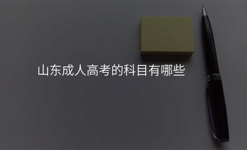 山东成人高考的科目有哪些