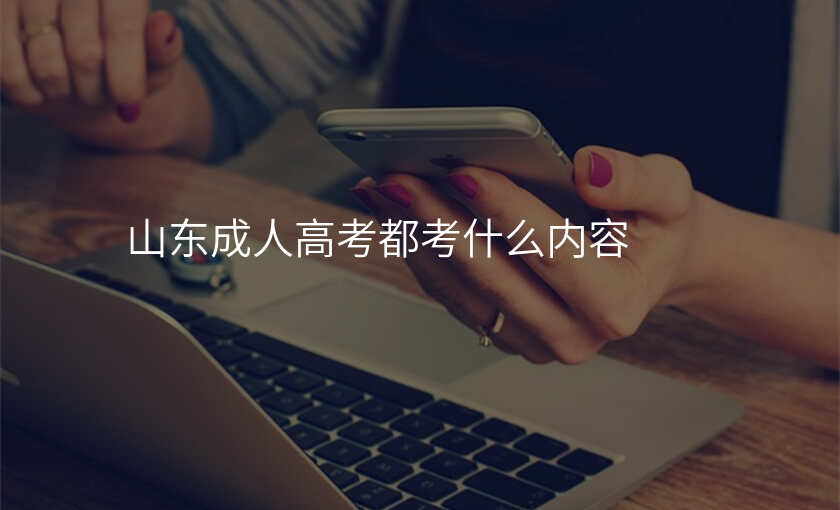 山东成人高考都考什么内容