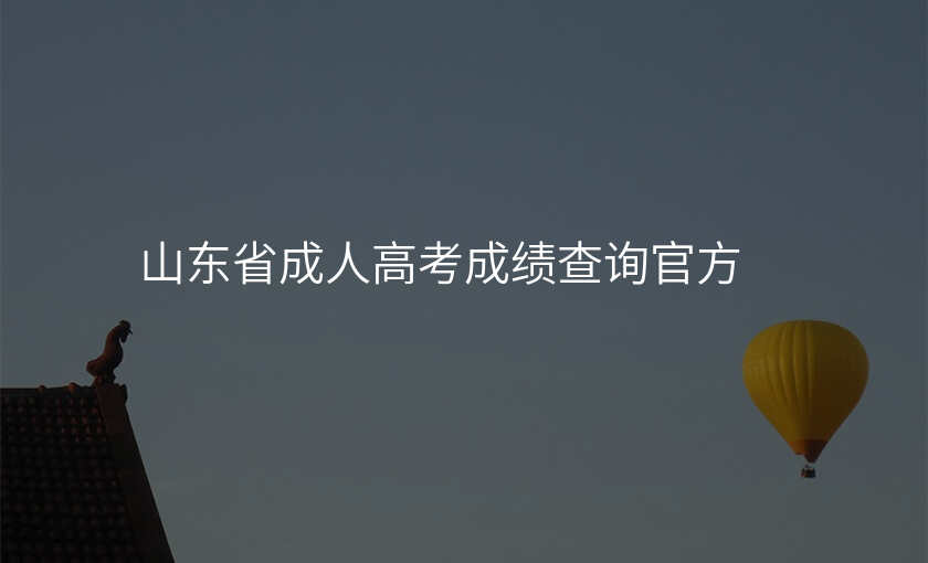 山东省成人高考成绩查询官方