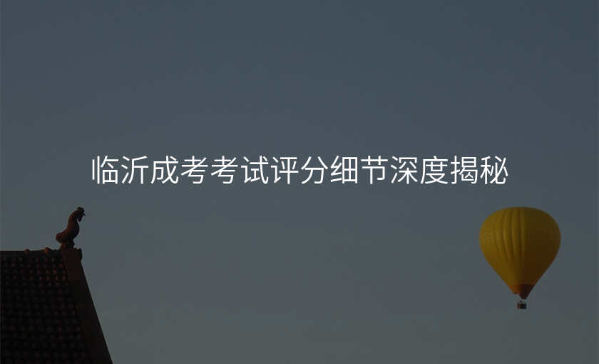 临沂成考考试评分细节深度揭秘