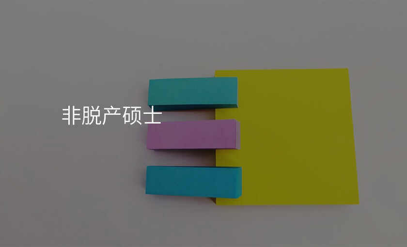 非脱产硕士
