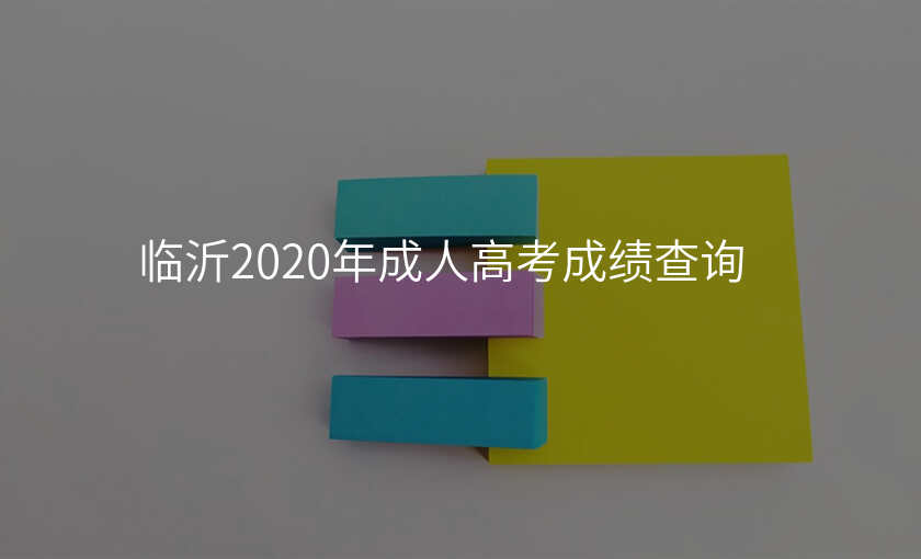 临沂2020年成人高考成绩查询