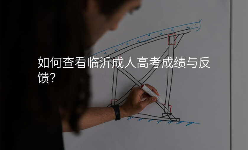 如何查看临沂成人高考成绩与反馈?