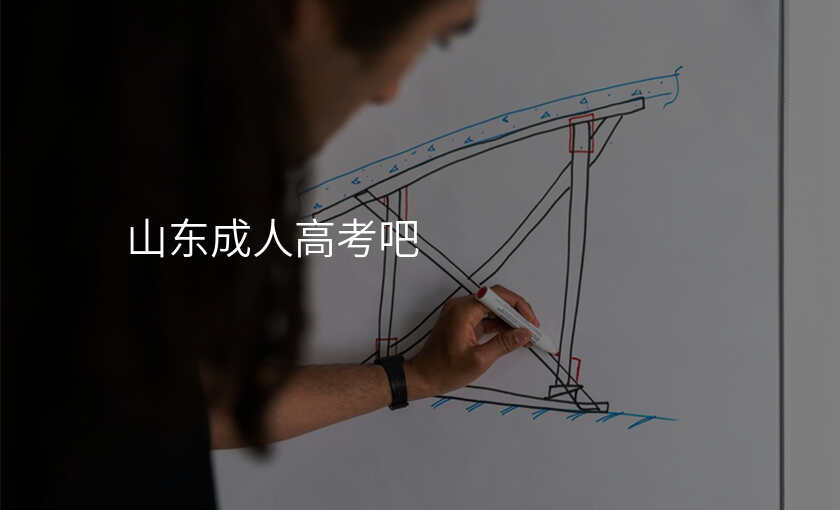 山东成人高考吧