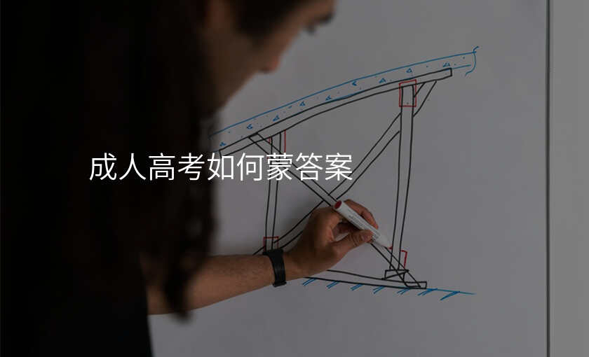 成人高考如何蒙答案
