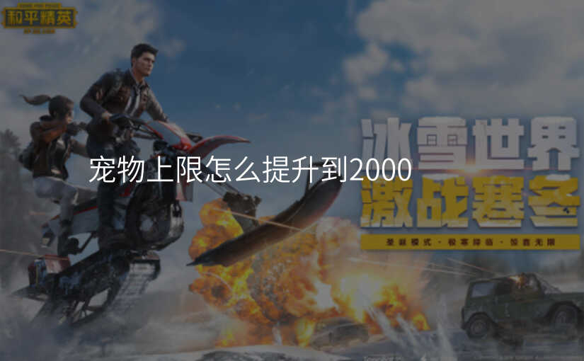 宠物上限怎么提升到2000