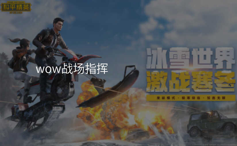 wow战场指挥
