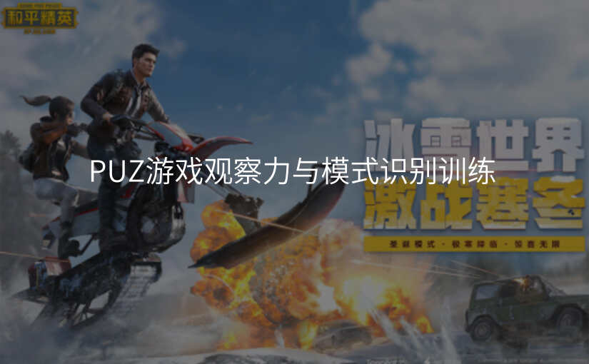 PUZ游戏观察力与模式识别训练