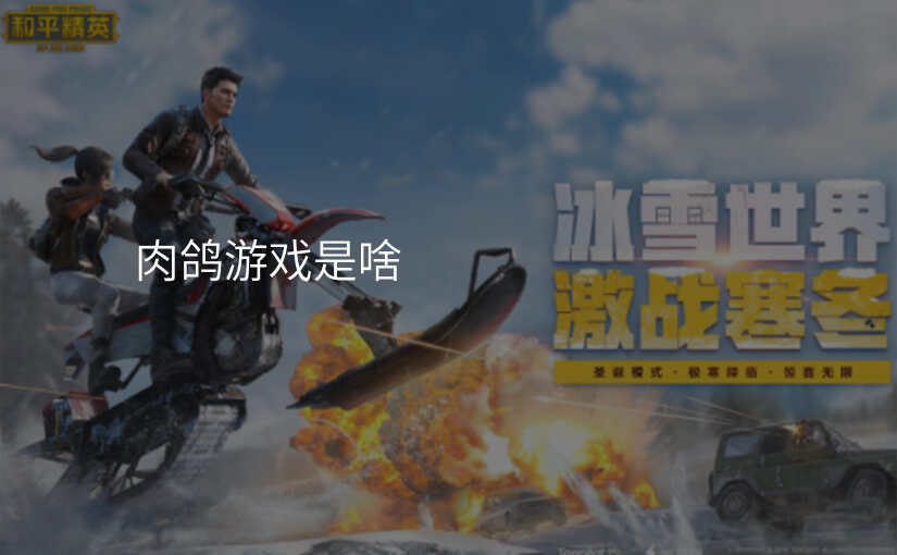 肉鸽游戏是啥