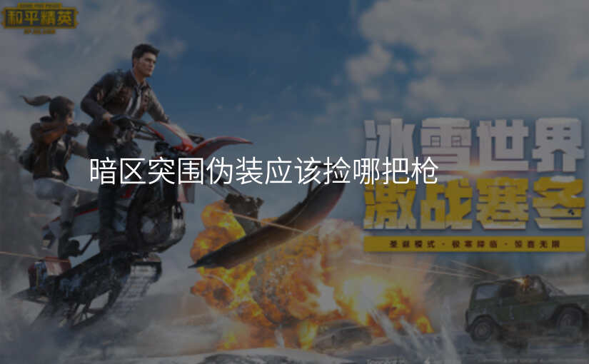 暗区突围伪装应该捡哪把枪