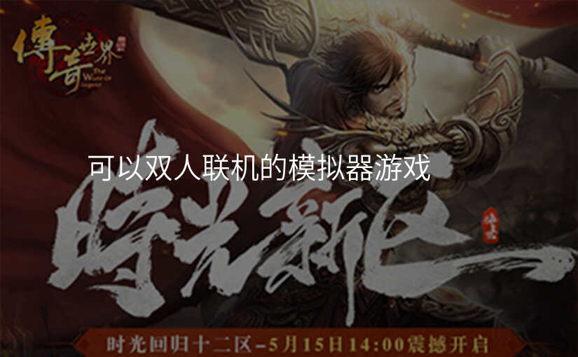 可以双人联机的模拟器游戏