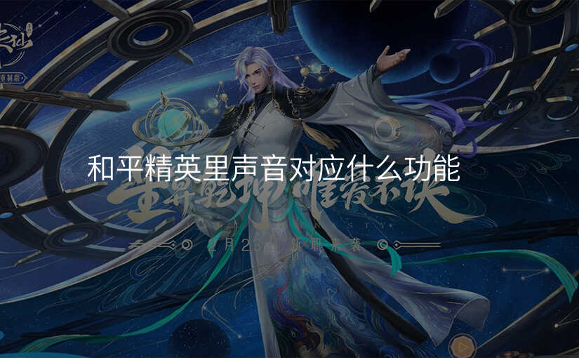 和平精英里声音对应什么功能