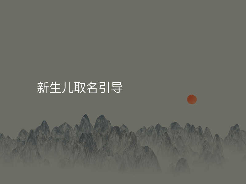 新生儿取名引导