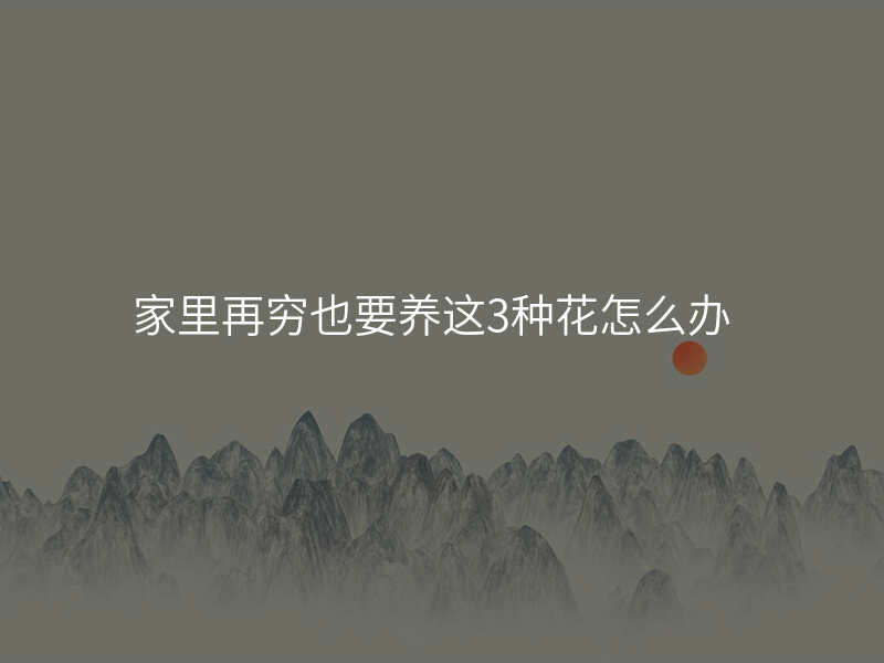 家里再穷也要养这3种花怎么办