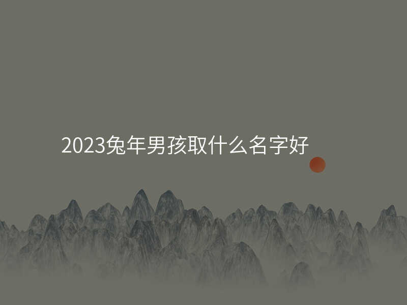 2023兔年男孩取什么名字好