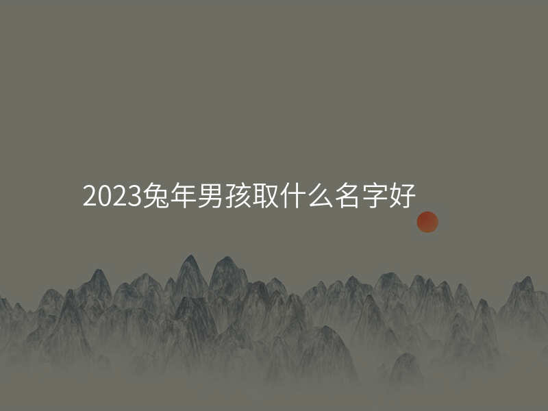 2023兔年男孩取什么名字好