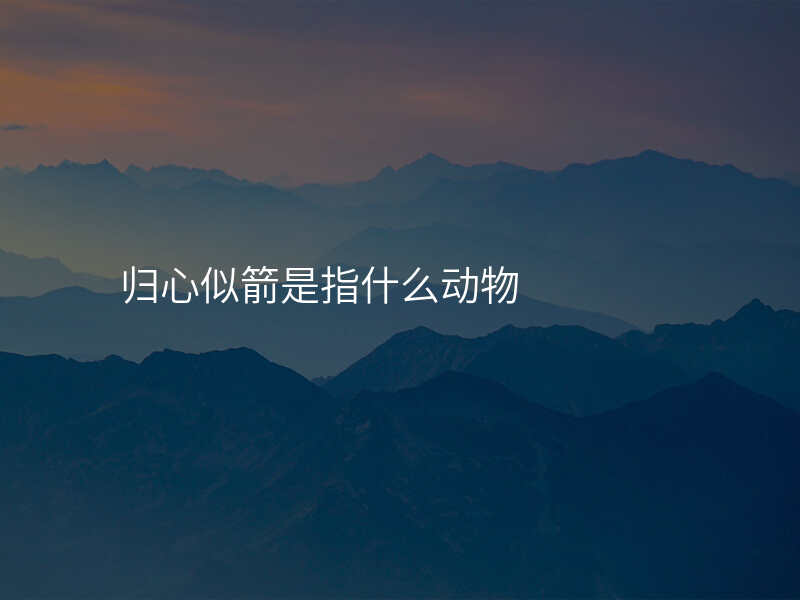 归心似箭是指什么动物