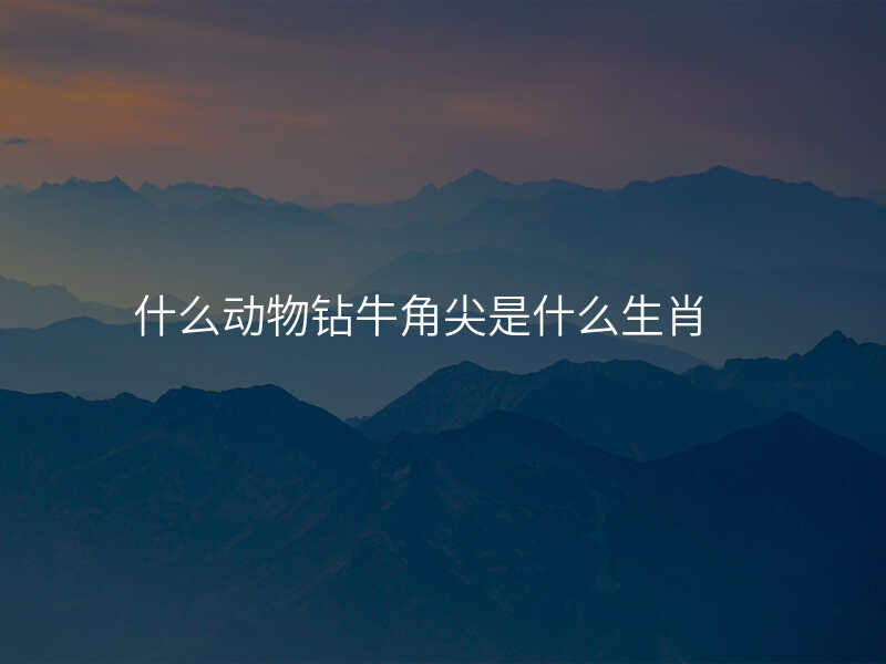 什么动物钻牛角尖是什么生肖