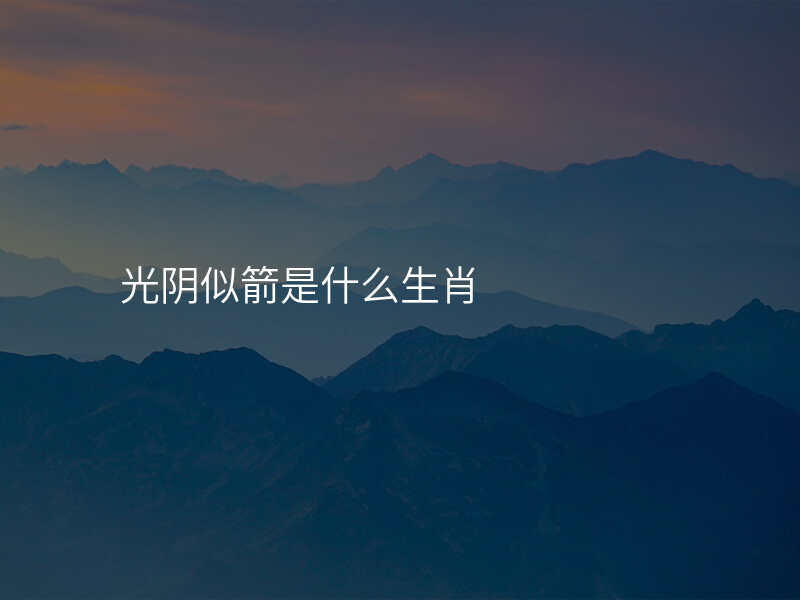 光阴似箭是什么生肖
