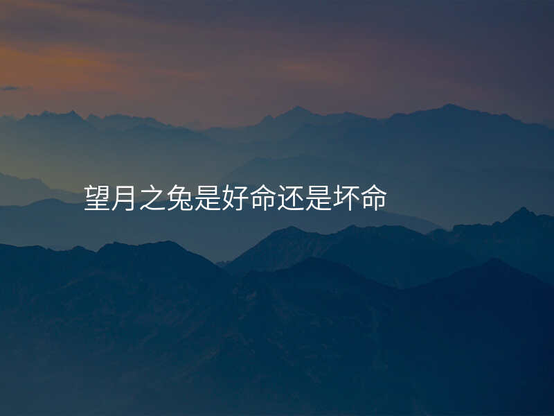望月之兔是好命还是坏命