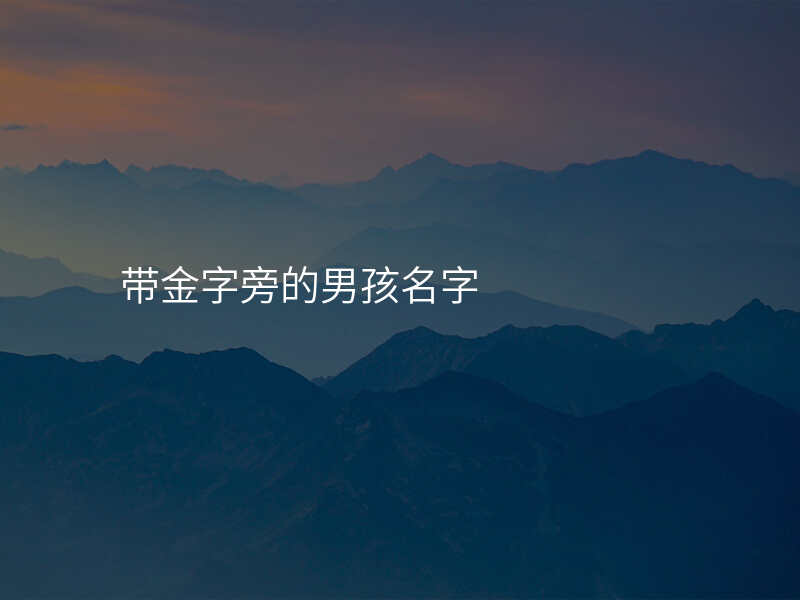 带金字旁的男孩名字