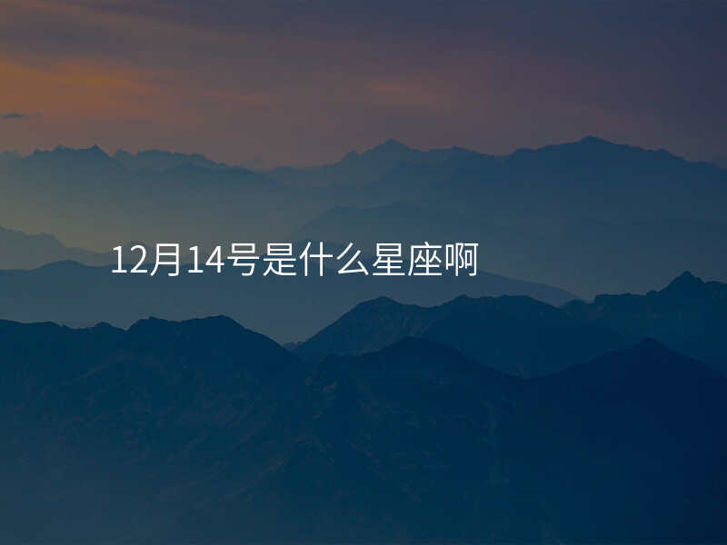 12月14号是什么星座啊